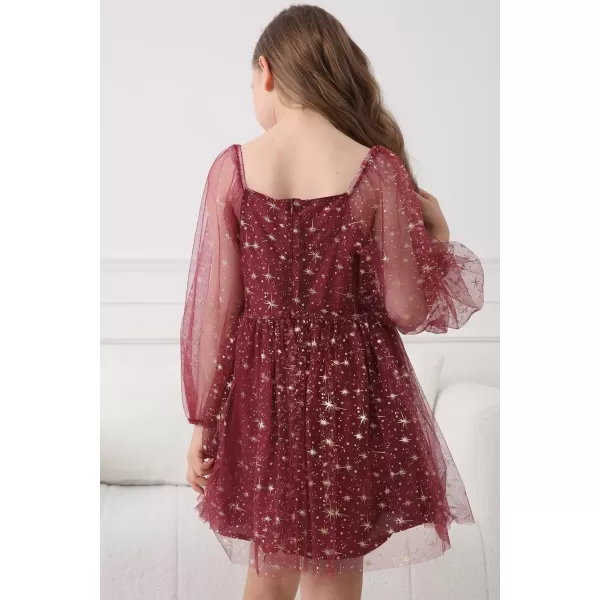 Girls Tulle Dress Sheer Mesh Puff Long Sleeve Star Overlay A Line Dress