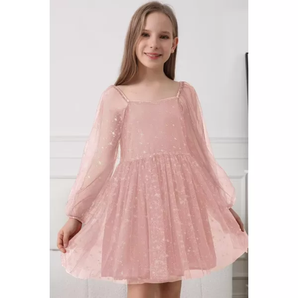 Girls Tulle Dress Sheer Mesh Puff Long Sleeve Star Overlay A Line Dress