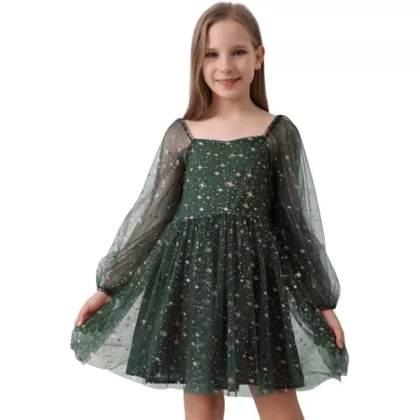 Girls Tulle Dress Sheer Mesh Puff Long Sleeve Star Overlay A Line Dress