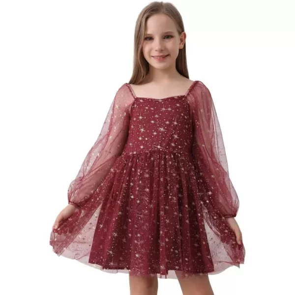 Girls Tulle Dress Sheer Mesh Puff Long Sleeve Star Overlay A Line Dress
