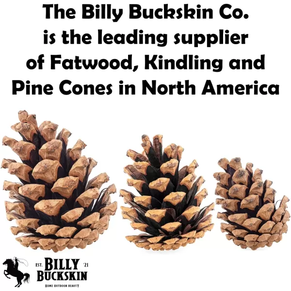 20 Large Pine Cones for Crafts Unscented Natural Pinecones Crafts Ornament for Decorating 3 to 4quot Tall Pine Cones Craft for Table Home Decor Vase Fillers Desk ampamp Christmas Trees by Billy Buckskin100 Mixed