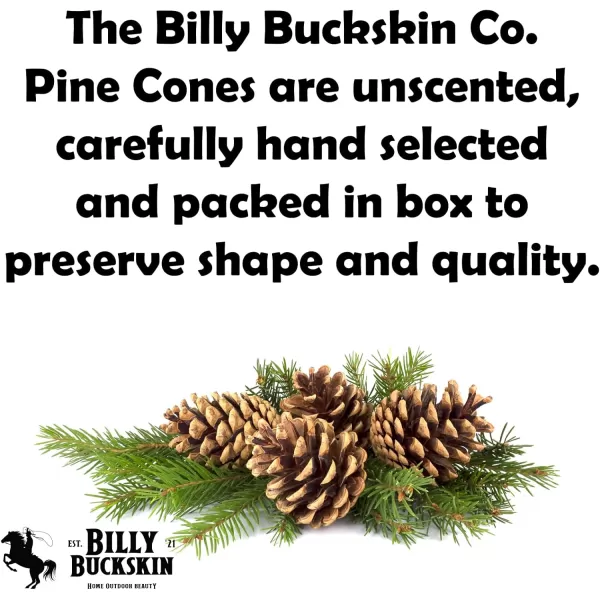 20 Large Pine Cones for Crafts Unscented Natural Pinecones Crafts Ornament for Decorating 3 to 4quot Tall Pine Cones Craft for Table Home Decor Vase Fillers Desk ampamp Christmas Trees by Billy Buckskin100 Mixed
