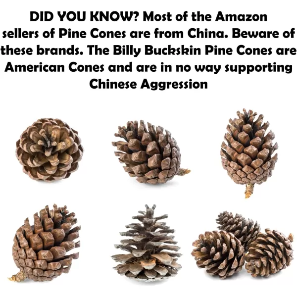 20 Large Pine Cones for Crafts Unscented Natural Pinecones Crafts Ornament for Decorating 3 to 4quot Tall Pine Cones Craft for Table Home Decor Vase Fillers Desk ampamp Christmas Trees by Billy Buckskin100 Mixed