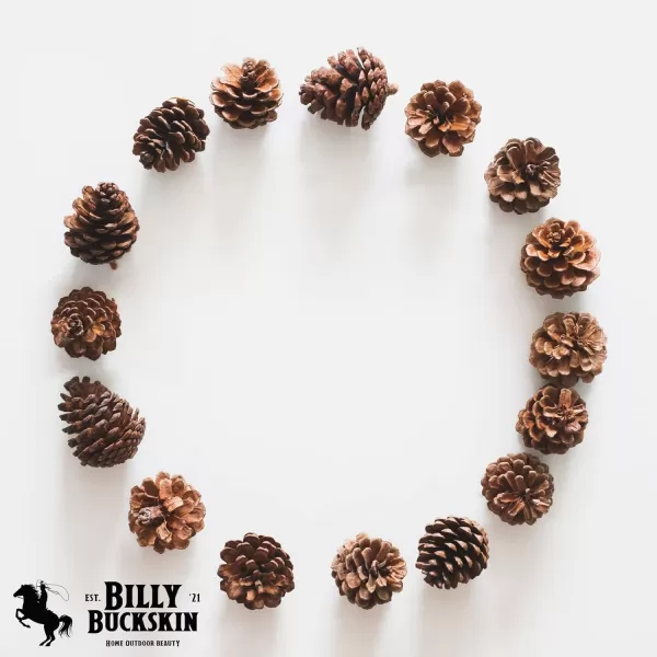 20 Large Pine Cones for Crafts Unscented Natural Pinecones Crafts Ornament for Decorating 3 to 4quot Tall Pine Cones Craft for Table Home Decor Vase Fillers Desk ampamp Christmas Trees by Billy Buckskin20 Large
