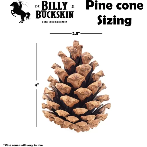 20 Large Pine Cones for Crafts Unscented Natural Pinecones Crafts Ornament for Decorating 3 to 4quot Tall Pine Cones Craft for Table Home Decor Vase Fillers Desk ampamp Christmas Trees by Billy Buckskin20 Large
