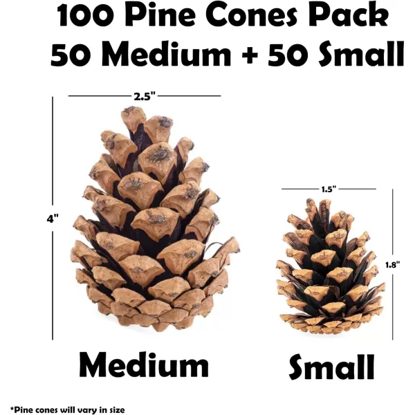 20 Large Pine Cones for Crafts Unscented Natural Pinecones Crafts Ornament for Decorating 3 to 4quot Tall Pine Cones Craft for Table Home Decor Vase Fillers Desk ampamp Christmas Trees by Billy Buckskin100 Mixed