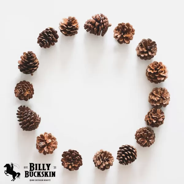 20 Large Pine Cones for Crafts Unscented Natural Pinecones Crafts Ornament for Decorating 3 to 4quot Tall Pine Cones Craft for Table Home Decor Vase Fillers Desk ampamp Christmas Trees by Billy Buckskin100 Mixed