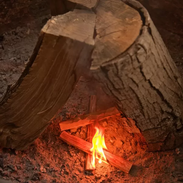 Billy Buckskin 10 lbs Fatwood Fire Starter Sticks Camping Essentials  Great Fire Logs and Fire Starters for Campfires Wood Stoves Fireplaces Bonfires  Start a Fire with 2 Sticks  10 lb Box500 Pounds
