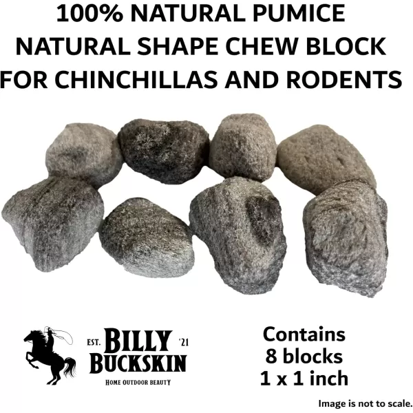 Chew Toys for Chinchilla Guinea Pig Toys Hamster Chew Toys Chinchilla Cage Accessories Lava Block for Small Pet Animals Rat Mice Bunny Rabbit Degus Gerbils Toys by Billy Buckskin  Pack of 81 Count Pack of 8
