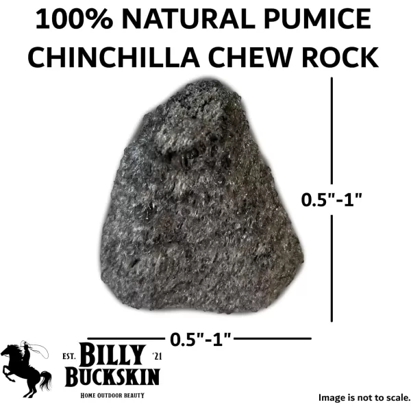 Chew Toys for Chinchilla Guinea Pig Toys Hamster Chew Toys Chinchilla Cage Accessories Lava Block for Small Pet Animals Rat Mice Bunny Rabbit Degus Gerbils Toys by Billy Buckskin  Pack of 81 Count Pack of 8