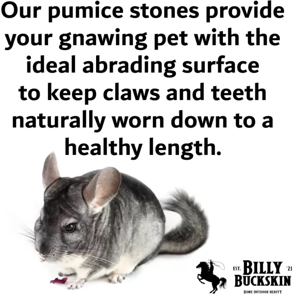 Chew Toys for Chinchilla Guinea Pig Toys Hamster Chew Toys Chinchilla Cage Accessories Lava Block for Small Pet Animals Rat Mice Bunny Rabbit Degus Gerbils Toys by Billy Buckskin  Pack of 81 Count Pack of 8
