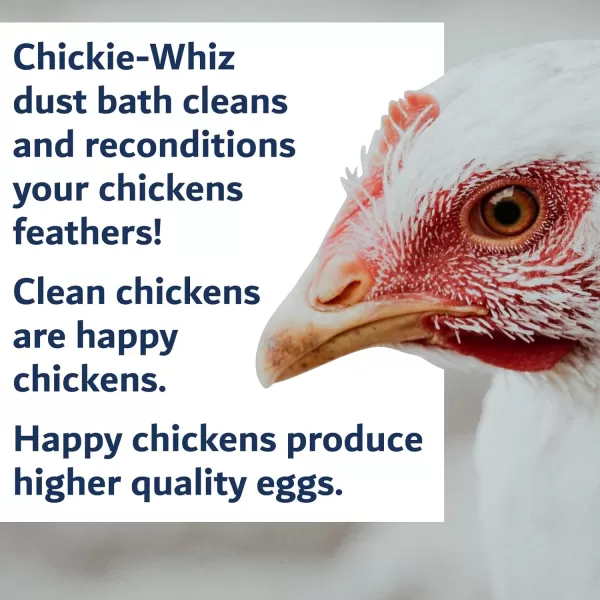 Chickie Whiz Dust Bath 55lb Chicken Dust Bath Dust Bath for Chickens for Healthy Chicken Poultry Dust Chicken Bath Dust for Chickens Chicken Coop Accessories by Billy Buckskin Co1 x 55 lb