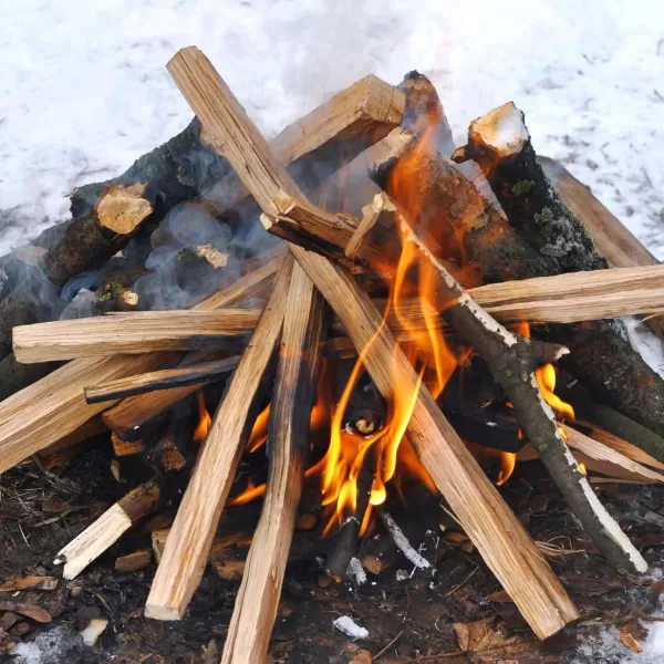 Fatwood Fire Starter Sticks 10 lb Box  All Natural ResinRich Fatwood for Wood Stoves Fireplaces Campfires  Easy ampamp Safe Fire Logs LongLasting Firewood 140 SticksDark Brown