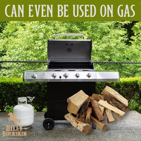 Mesquite Wood Chunks Wood Chunks for Smokers Alternative for Charcoal Briquettes Can be Use on Gas Smoking Wood Chunks for Smoking Grilling ampamp BBQ Camping Essential by Billy Buckskin Co4 Lbs BagApple