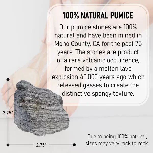 Pedicure Exfoliation Kit  All Natural Volcanic Pumice Stones by BillyBuckSkin Co  100 Made in USA  Callus Remover for Hands and Feet  100 Natural  Combo Pack of 2 Stones and a Body Sponge