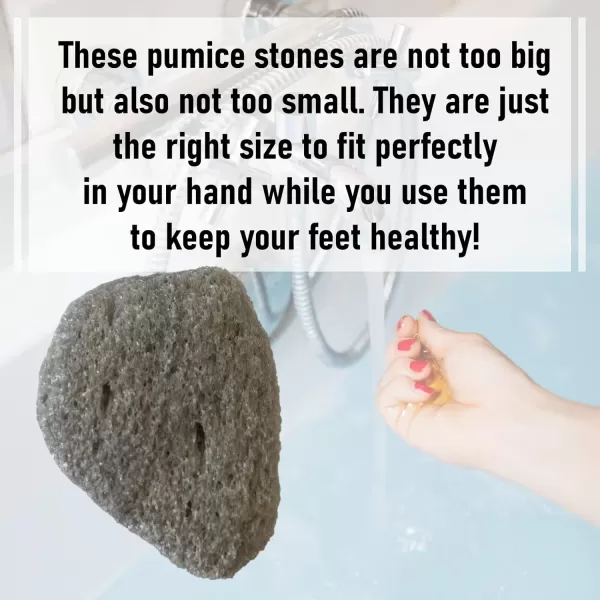 Pedicure Exfoliation Kit  All Natural Volcanic Pumice Stones by BillyBuckSkin Co  100 Made in USA  Callus Remover for Hands and Feet  100 Natural  Combo Pack of 2 Stones and a Body Sponge