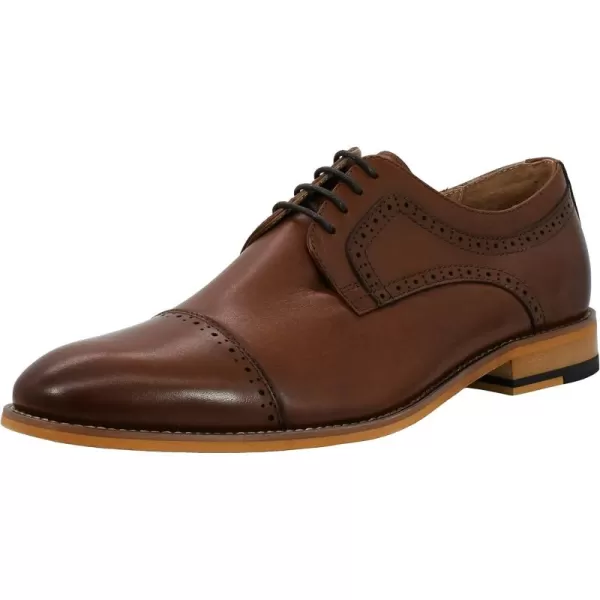 STACY ADAMS Mens Dickinson CapToe Laceup OxfordChocolate