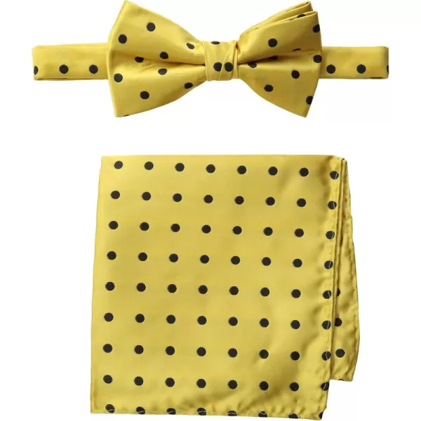 Stacy Adams Mens Satin Dot Bow Tie SetGold
