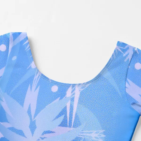 Zaclotre Gymnastic Leotards for Girls Long Sleeve Tumbling Outfits Toddler Sparkle Athletic Dancewear for KidSnowflake Blue