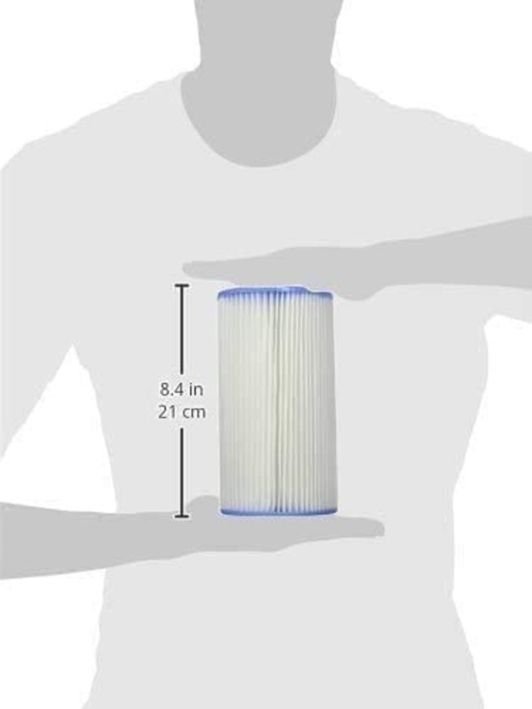 Intex Type A or C Filter Cartridge for PoolsType A