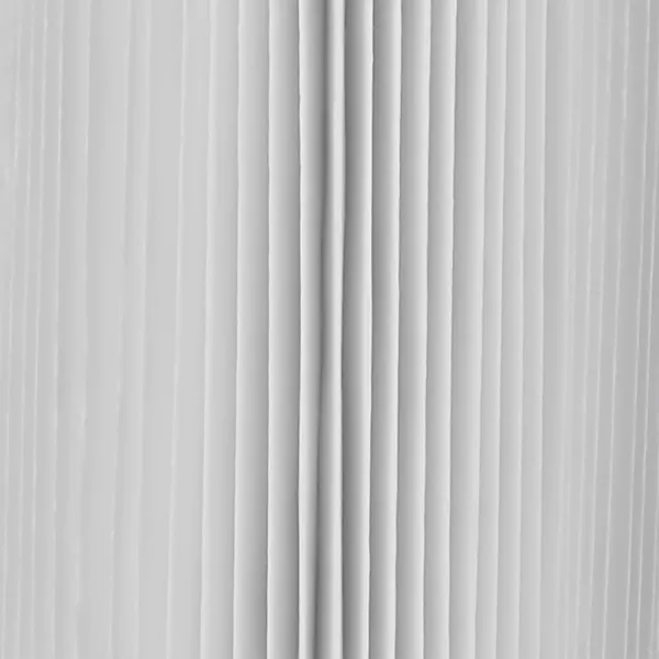 Intex Type A or C Filter Cartridge for PoolsType A