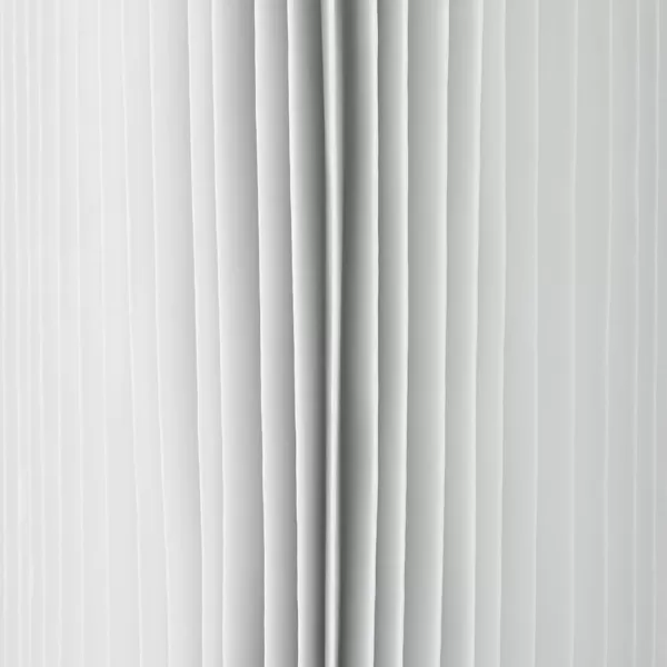 Intex Type A or C Filter Cartridge for PoolsType B