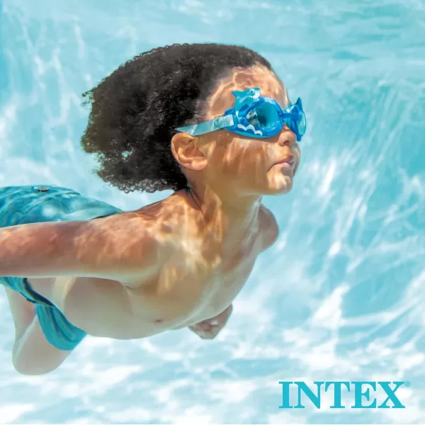 INTEX Deluxe PressureSide Above Ground Automatic Pool Cleaner Vacuum  For Bigger Pools  Cleans Pool Floors and Walls  Removes Debris  Removable Filter Tray  21ft Tangle Free HoseZX300