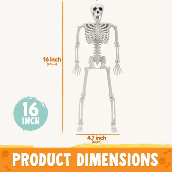 JOYIN 12 PCS 16quot Halloween Posable Skeletons Hanging Decoration Plastic Full Body Posable Small Skeletons with Movable Joints for Halloween Indoor Outdoor Party Decor Graveyard White16 inches