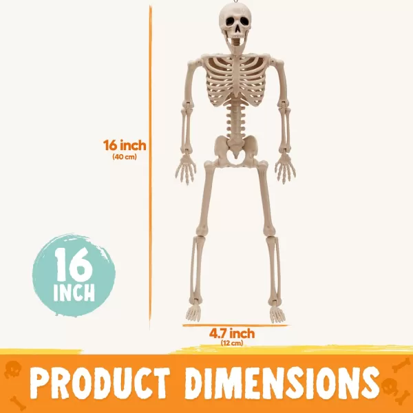 JOYIN 3 PCS 16 Inches Halloween Hanging Skeletons Full Body Posable Joints Movable Plastic Bones for Halloween Party Outdoor Indoor Decor Yard Patio Lawn Garden Props Decorations16 inches