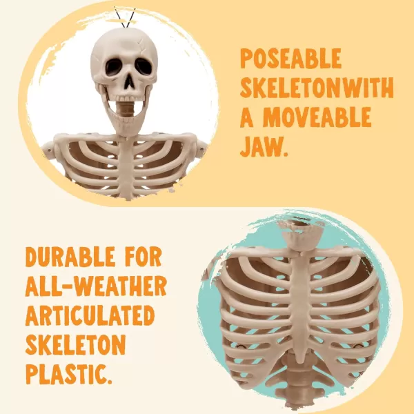 JOYIN 3 PCS 16 Inches Halloween Hanging Skeletons Full Body Posable Joints Movable Plastic Bones for Halloween Party Outdoor Indoor Decor Yard Patio Lawn Garden Props Decorations16 inches