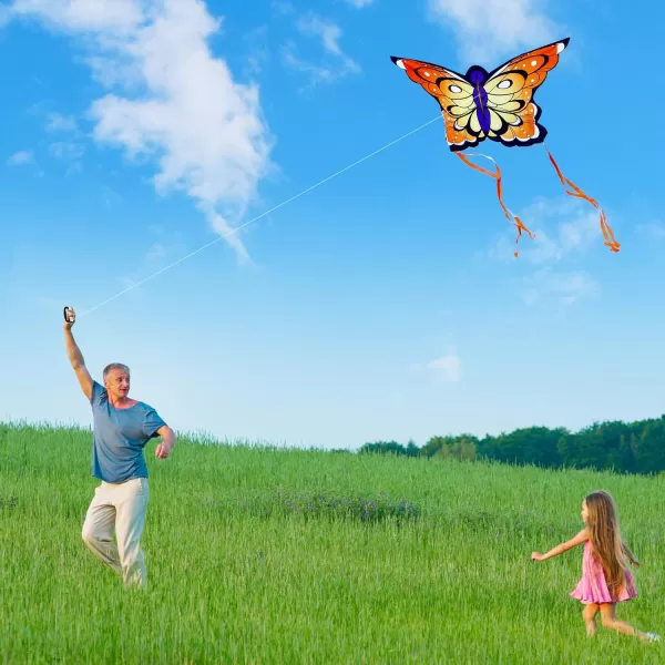JOYIN 2 Packs 524 Wide Giant Butterfly Kite Yellow and Blue Color Easy to Fly Huge Kites for Kids and Adults with 2625 ft Kite String Large Beach Kite for Outdoor Games and Activities