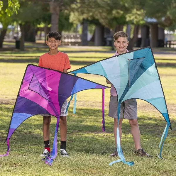 JOYIN 2 Packs Large Delta Kite Green and Multicolor Kite Easy to Fly Huge Kites for Kids and Adults with 2625 ft Kite String Large Delta Beach Kite for Outdoor Games and ActivitiesBluePurple