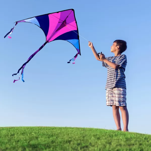 JOYIN 2 Packs Large Delta Kite Green and Multicolor Kite Easy to Fly Huge Kites for Kids and Adults with 2625 ft Kite String Large Delta Beach Kite for Outdoor Games and ActivitiesBluePurple