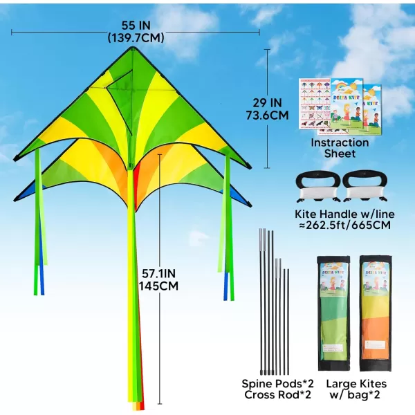 JOYIN 2 Packs Large Delta Kite Green and Multicolor Kite Easy to Fly Huge Kites for Kids and Adults with 2625 ft Kite String Large Delta Beach Kite for Outdoor Games and ActivitiesGreenRainbow