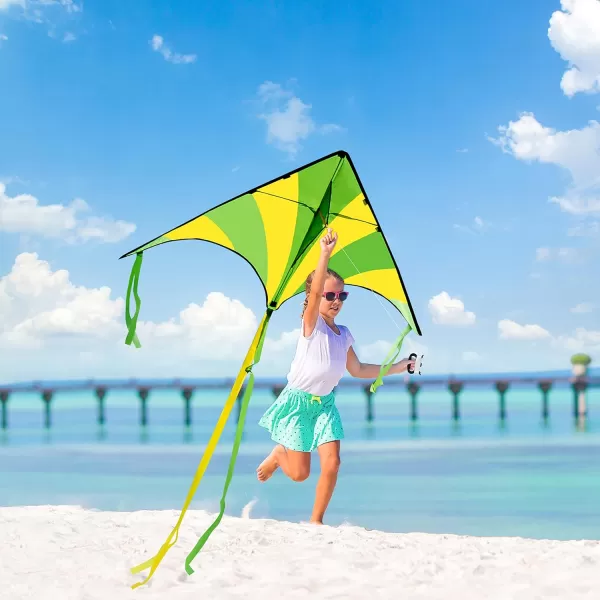 JOYIN 2 Packs Large Delta Kite Green and Multicolor Kite Easy to Fly Huge Kites for Kids and Adults with 2625 ft Kite String Large Delta Beach Kite for Outdoor Games and ActivitiesGreenRainbow