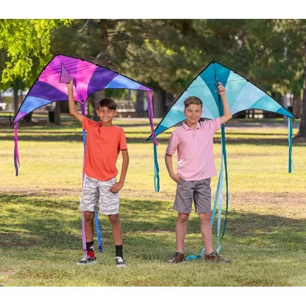 JOYIN 2 Packs Large Delta Kite Green and Multicolor Kite Easy to Fly Huge Kites for Kids and Adults with 2625 ft Kite String Large Delta Beach Kite for Outdoor Games and ActivitiesBluePurple