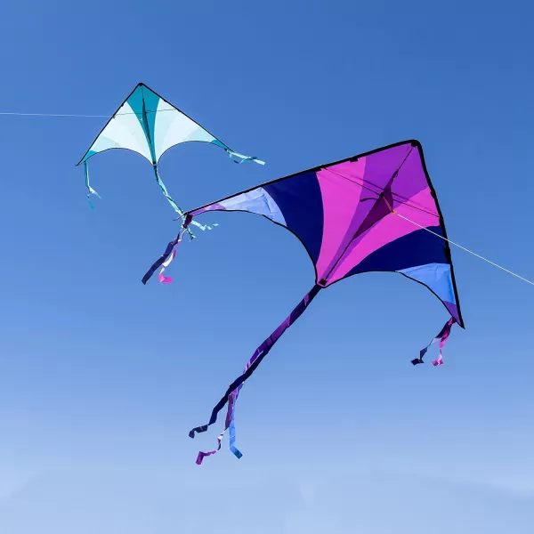 JOYIN 2 Packs Large Delta Kite Green and Multicolor Kite Easy to Fly Huge Kites for Kids and Adults with 2625 ft Kite String Large Delta Beach Kite for Outdoor Games and ActivitiesBluePurple