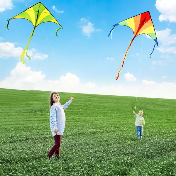 JOYIN 2 Packs Large Delta Kite Green and Multicolor Kite Easy to Fly Huge Kites for Kids and Adults with 2625 ft Kite String Large Delta Beach Kite for Outdoor Games and ActivitiesGreenRainbow