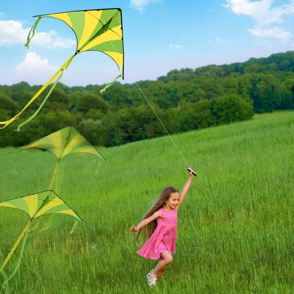 JOYIN 3 Packs Large Delta Kite Green Blue and Rainbow Easy to Fly Huge Kites for Kids with 2625 ft Kite String Large Delta Beach Kite for Outdoor Games and Activities