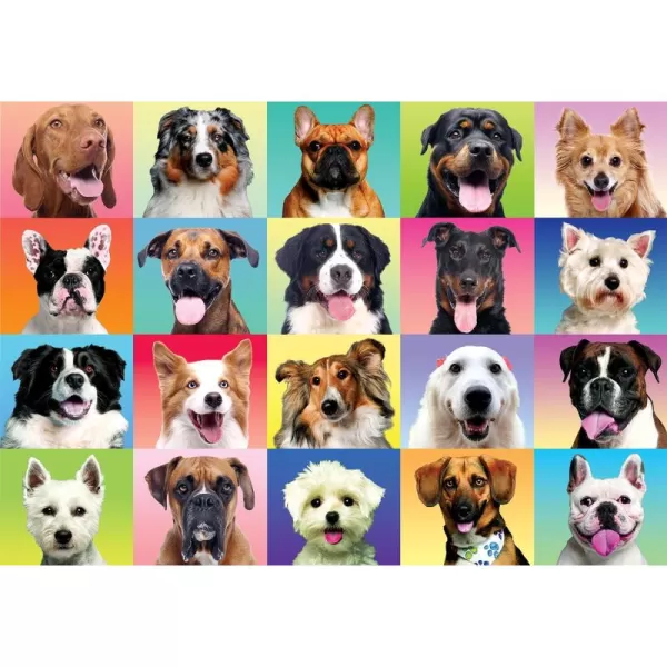 JOYIN 300 pcs Multicolor Dogs Puzzles Jigsaw Puzzle for Kids and Adults29quot x 21quot Puppy Theme Puzzles for Teens Collection Gift Home Art Decor