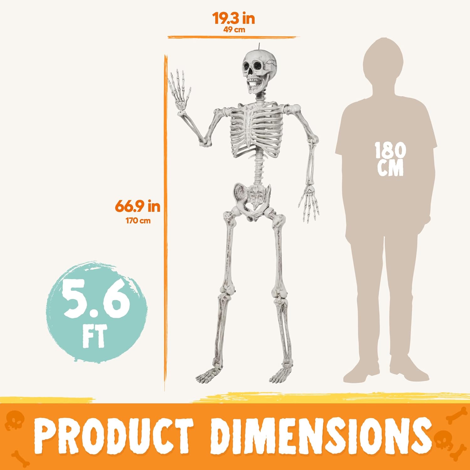 JOYIN 56 FT Halloween Posable Life Size Skeleton Full Body Realistic Bones with Movable Joints for Halloween Indoor and Outdoor Decoration WhiteWhite