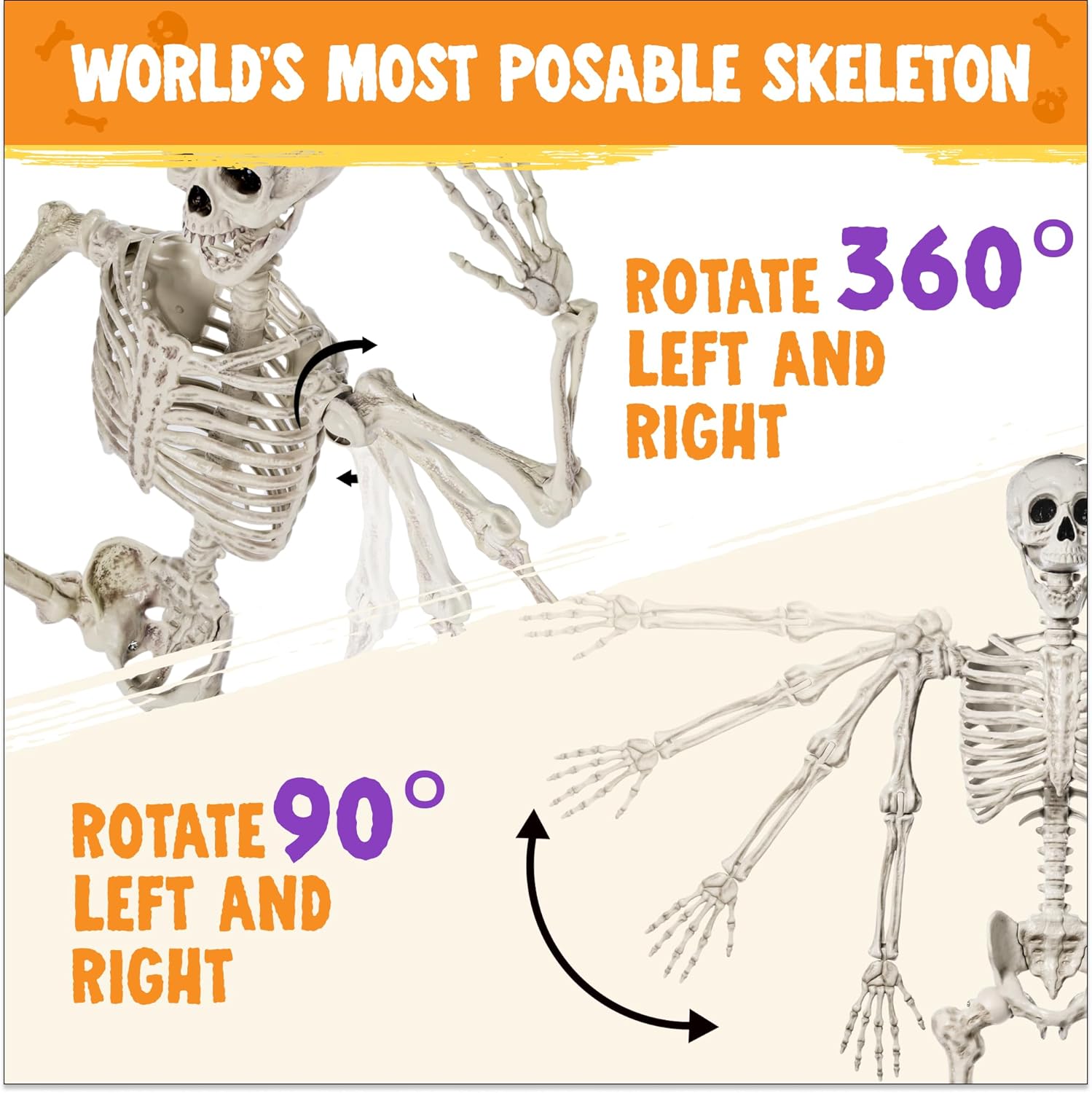 JOYIN 56 FT Halloween Posable Life Size Skeleton Full Body Realistic Bones with Movable Joints for Halloween Indoor and Outdoor Decoration WhiteWhite