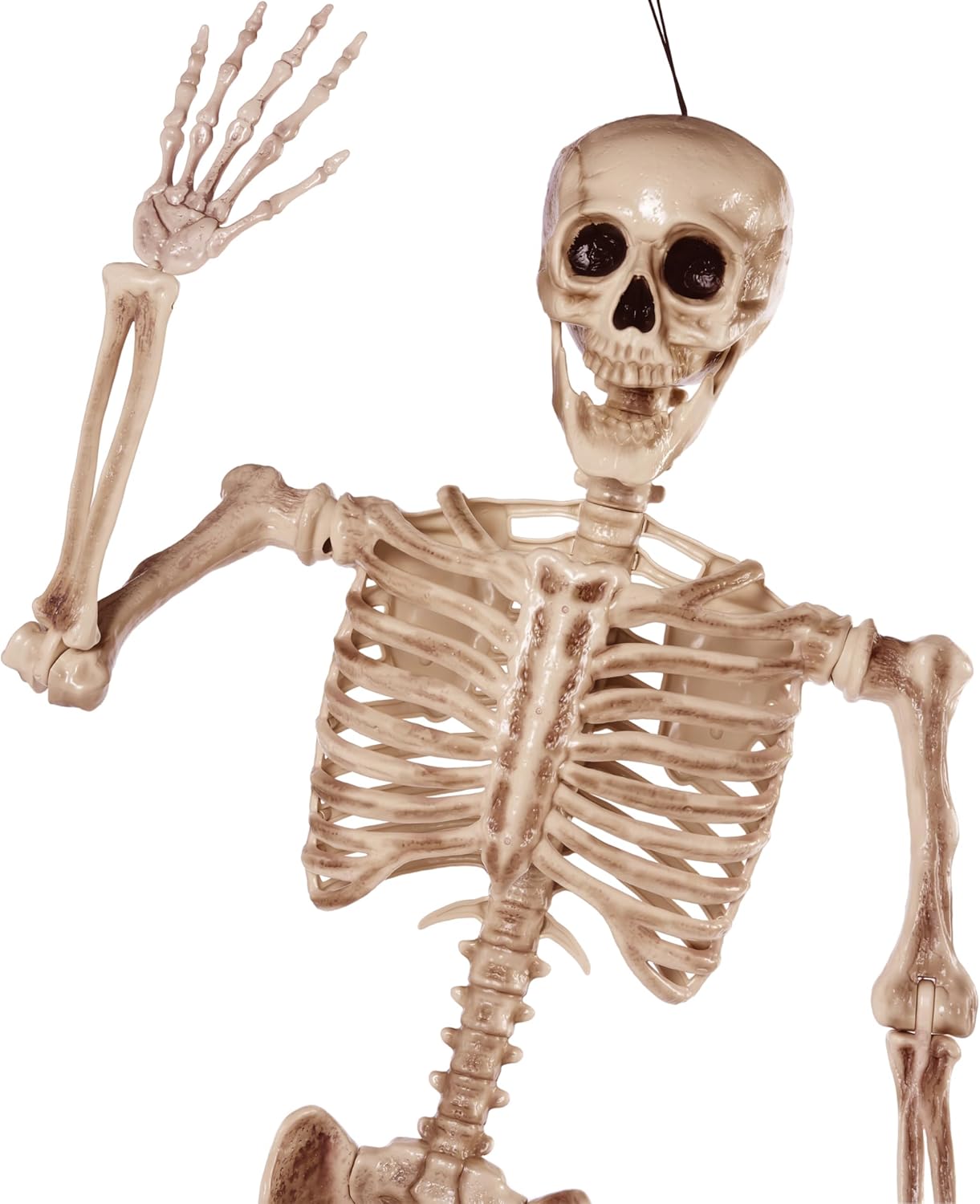 JOYIN 56 FT Halloween Posable Life Size Skeleton Full Body Realistic Bones with Movable Joints for Halloween Indoor and Outdoor Decoration WhiteYellow