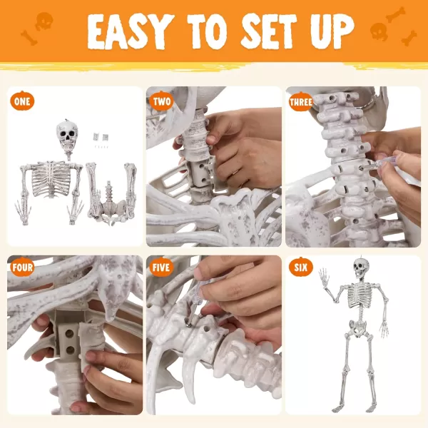 JOYIN 56 FT Halloween Posable Life Size Skeleton Full Body Realistic Bones with Movable Joints for Halloween Indoor and Outdoor Decoration WhiteWhite