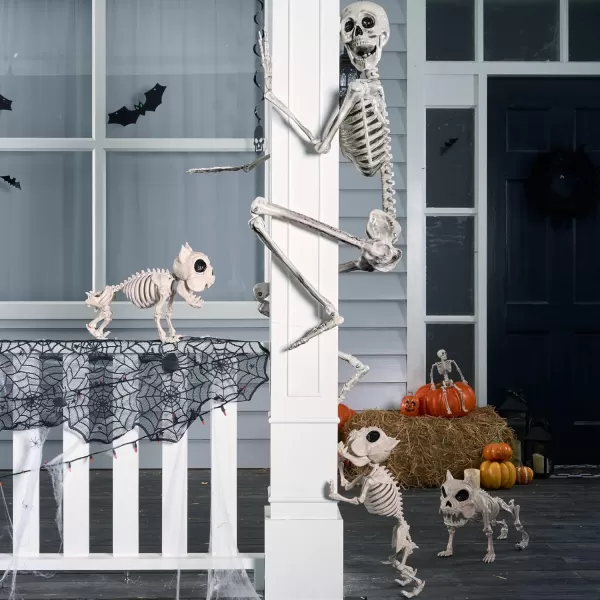 JOYIN 56 FT Halloween Posable Life Size Skeleton Full Body Realistic Bones with Movable Joints for Halloween Indoor and Outdoor Decoration WhiteWhite