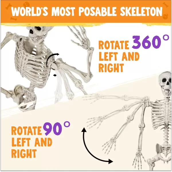 JOYIN 56 FT Halloween Posable Life Size Skeleton Full Body Realistic Bones with Movable Joints for Halloween Indoor and Outdoor Decoration WhiteWhite