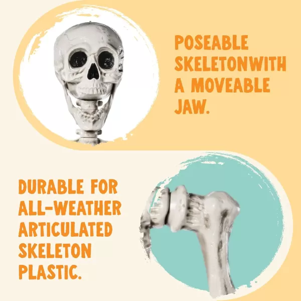 JOYIN 56 FT Halloween Posable Life Size Skeleton Full Body Realistic Bones with Movable Joints for Halloween Indoor and Outdoor Decoration WhiteWhite