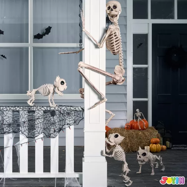JOYIN 56 FT Halloween Posable Life Size Skeleton Full Body Realistic Bones with Movable Joints for Halloween Indoor and Outdoor Decoration WhiteYellow