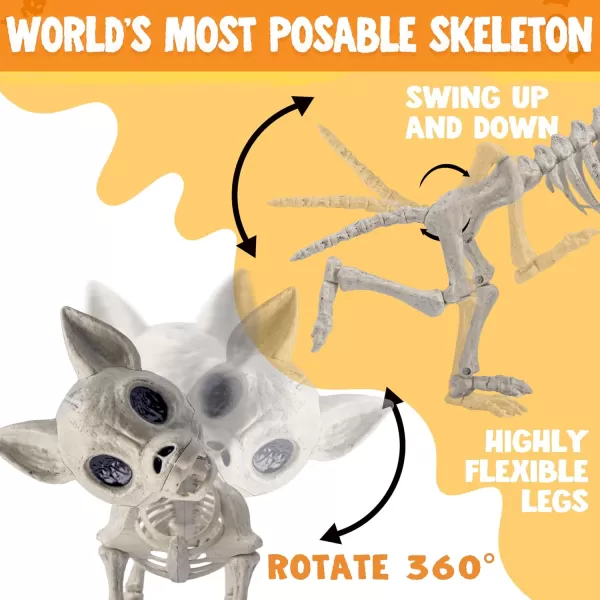 JOYIN Halloween Plastic Chihuahua Dog Skeleton 126 inches Plastic Puppy Bones Skeleton with Posable Joints for Halloween Indoor Outdoor Skeleton Decorations Graveyard Party Decor