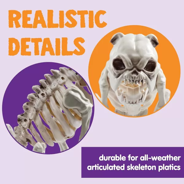 JOYIN Halloween Plastic Dog Skeleton 8 Inches Puppy Skeleton Plastic Dog Bones with Joints for Prop Spooky Scene Party Favors Decoration